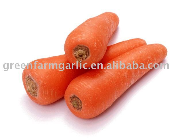 Chinese  Fresh   Yellow   Carrot  in Plastic Carton IN 10KG