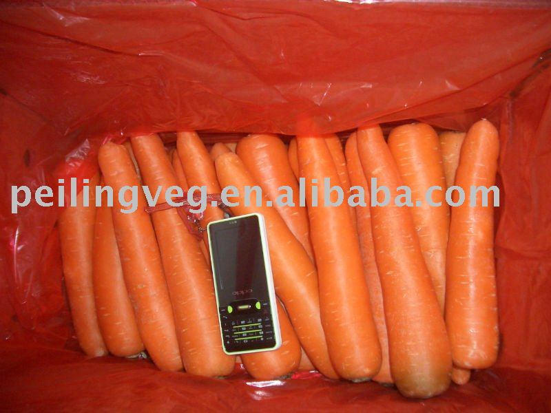 fresh  red carrot(red skin &heart)