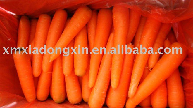 red carrot