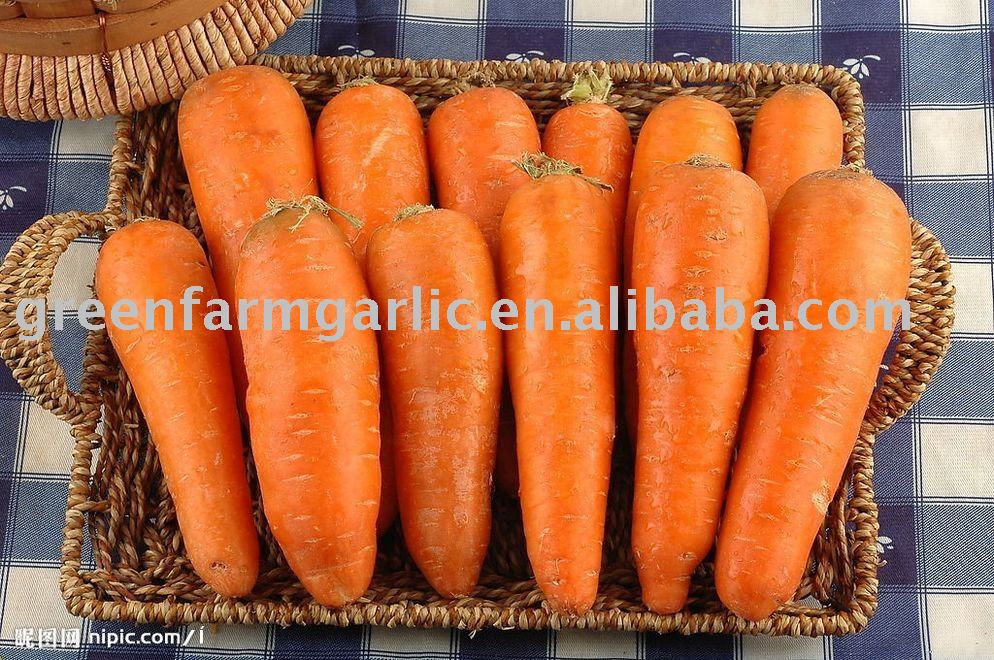  2011   Fresh  Carrot,Chinese Carrot