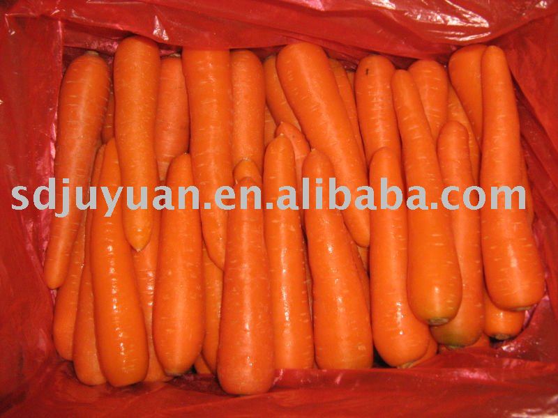 2011 Fresh Carrot