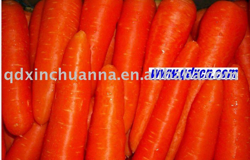  NEW  HARVEST  CARROT S