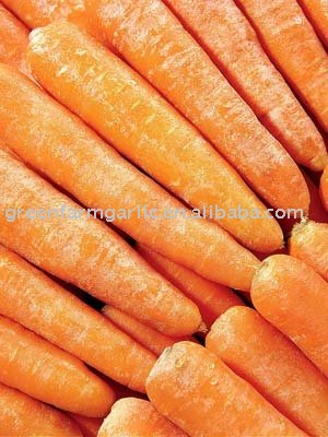 Fresh Yellow Carrot
