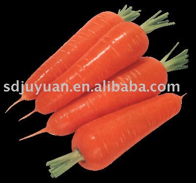 2011 fresh carrot (with pictures)