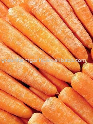 fresh carrot 2011