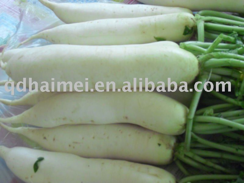 Fresh white carrot,China haimei price supplier - 21food