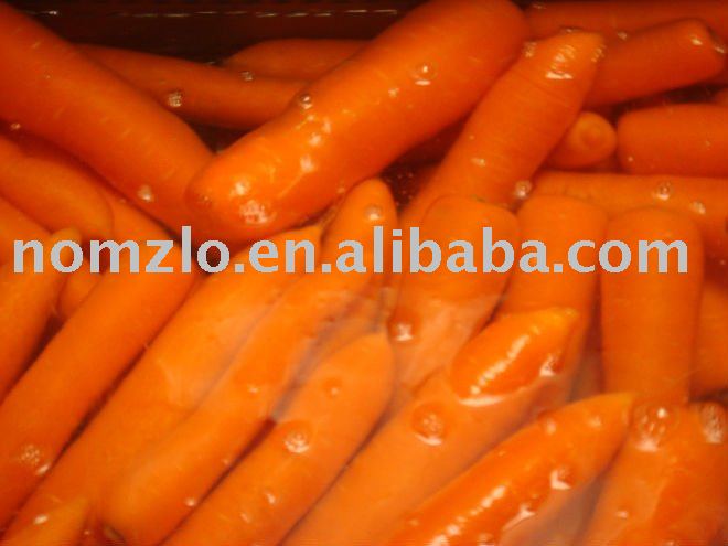 Chinese Healthy Fresh Vegetables For Mid East Market