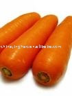 120g Fresh Carrot