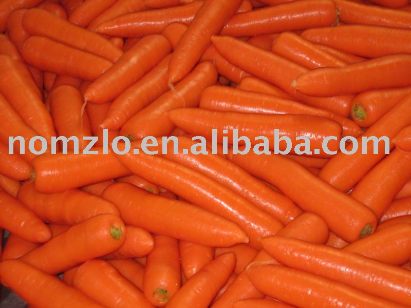 Chinese Fresh Orange Carrot