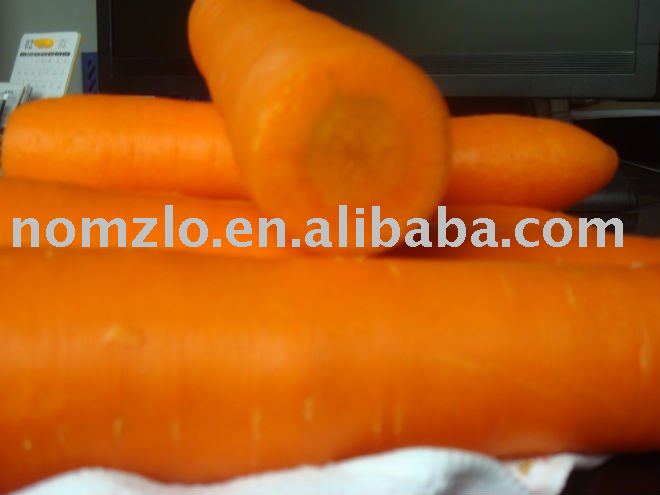 Big  Red   Fresh   Carrot s For Sale