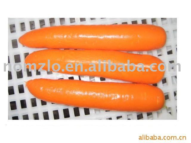  Chinese   Orange  Fresh Carrot