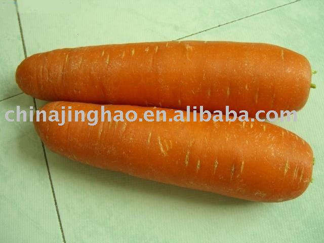 Shouguang Fresh Organic  Carrot