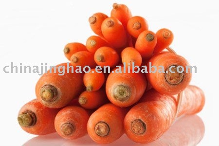 Shouguang Farm Fresh Carrot 2010