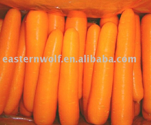 Chinese carrot in 10kg carton package. MOQ:1X40FCL