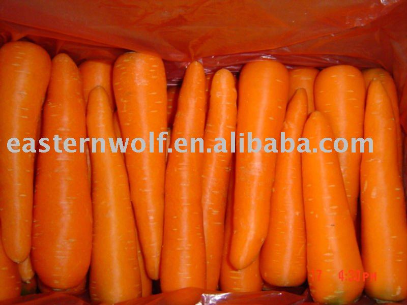 China fresh carrot in 10kg carton package. MOQ:1X40FCL