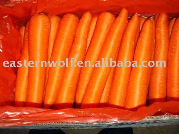 Chinese Fresh Carrot in Carton Package, New Crop