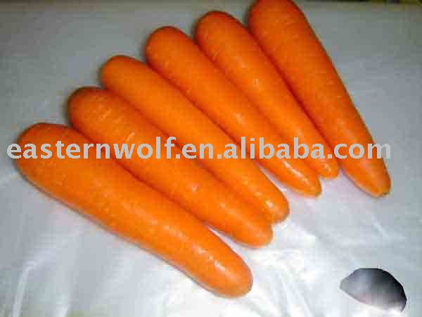 Fresh Carrot in Carton Package, New Crop