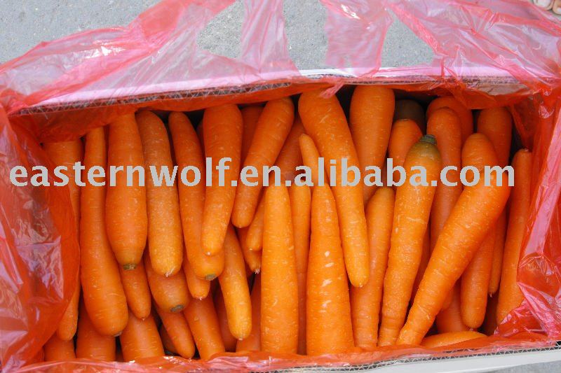 China Fresh Carrot in Carton Package, MOQ:1*40 FCL