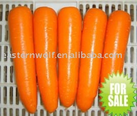  New   Crop   Fresh   Carrot  in Carton Package
