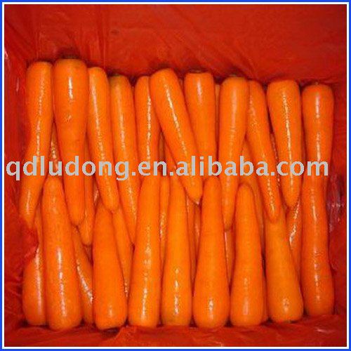 chinese 2010 new carrot