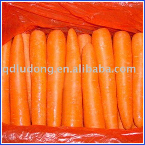 chinese new carrot