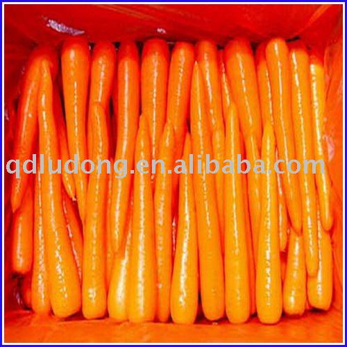  Fresh   Washed   Carrot 