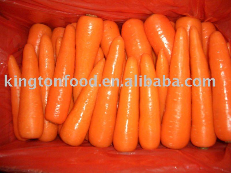 2011 new crop fresh carrot
