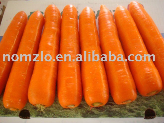 2011 Chinese fresh  carrot