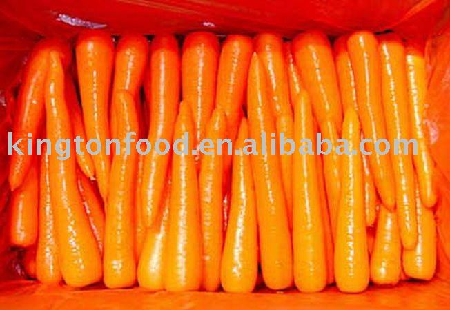 china fresh  red carrot