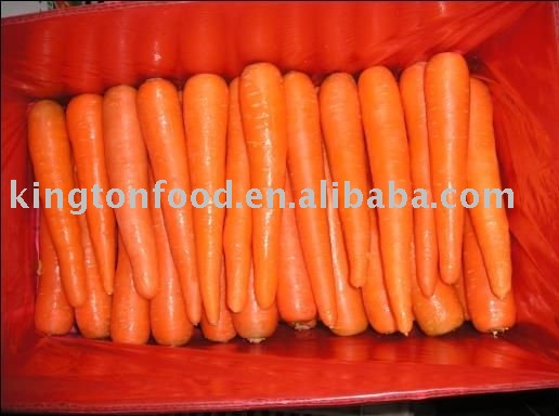 china 2011 fresh carrot