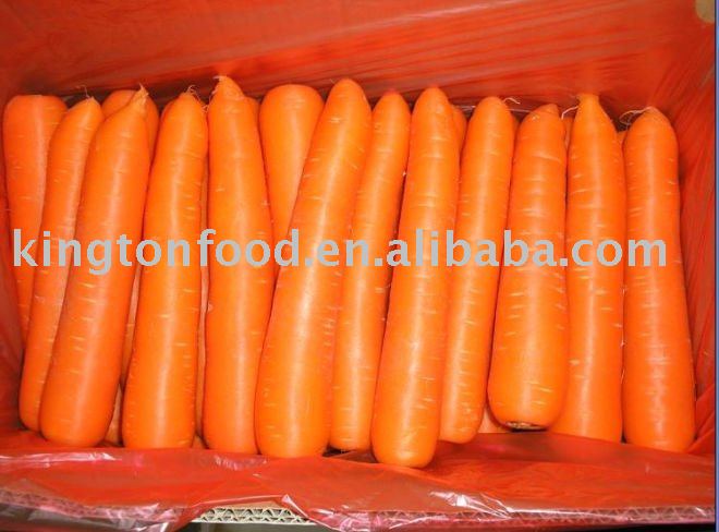 china new fresh carrot