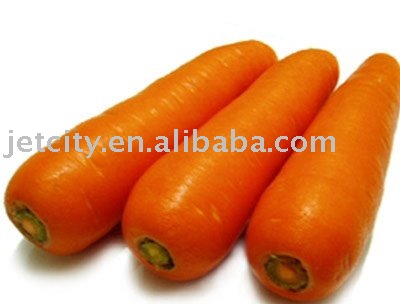 150g and up fresh carrot