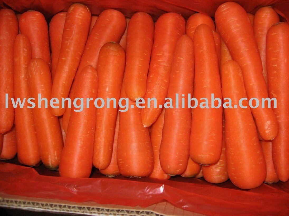 fresh chinese carrots,carrots,yellow carrot