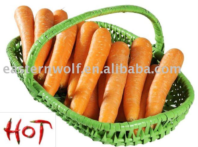 High Quality Fresh Chinese Carrot