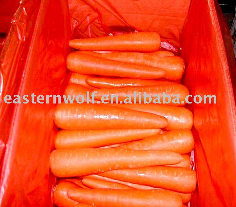 Chinese Fresh Carrot in Carton Package, Size 100g-200g