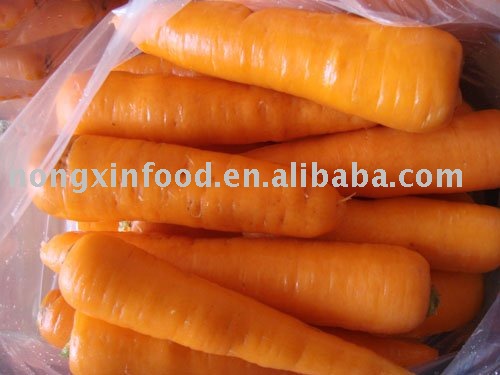 chinese  carrot    fresh  carrot ,  washed   carrot  ,polished  carrot 