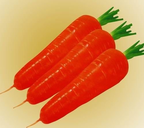 fresh carrot