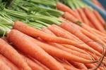 Fresh carrots for sales