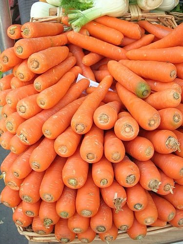 carrot,fresh carrot,export standard