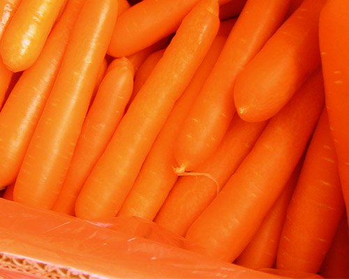 Carrot