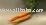 Carrots - European