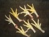 processed frozen chicken feet A grade,