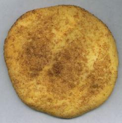 Cinnadoodle Cookies