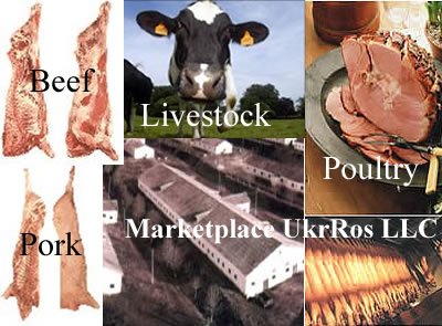 Meat, Beef, Pork,  Poultry ,  Livestock , Cattle