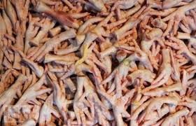 Chicken Feet,chicken paws and Whole Chicken from  Holland 