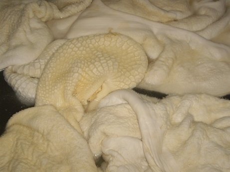  frozen   tripe 