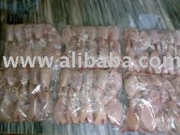 whole life and frozen quail ,quail parts and  hatching   eggs 