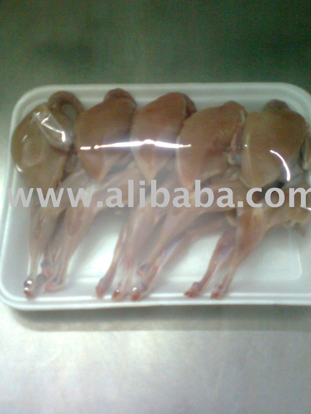 Quail Bird Live / Halal Meat Frozen,Pakistan price supplier - 21food