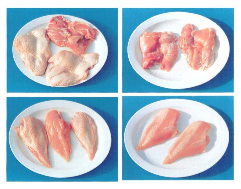  Frozen   Chicken   Products 