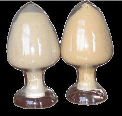 High  Yeast  powder protein